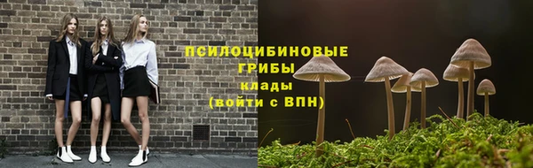 молекула духа Мегион