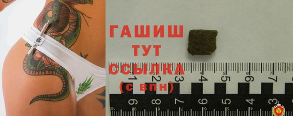 молекула духа Мегион