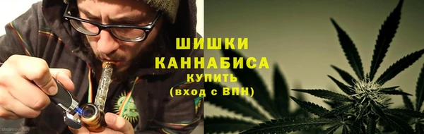 молекула духа Мегион