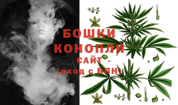 молекула духа Мегион