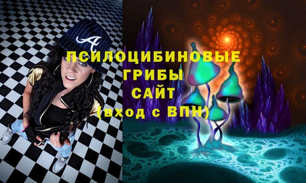 первитин Медвежьегорск