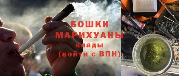 молекула духа Мегион