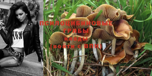 ГАЛЛЮЦИНОГЕННЫЕ ГРИБЫ Медногорск