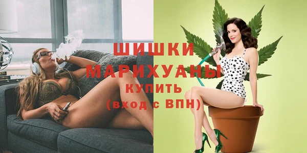 молекула духа Мегион